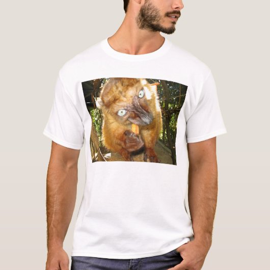 Flavifrons Tシャツ (正面)