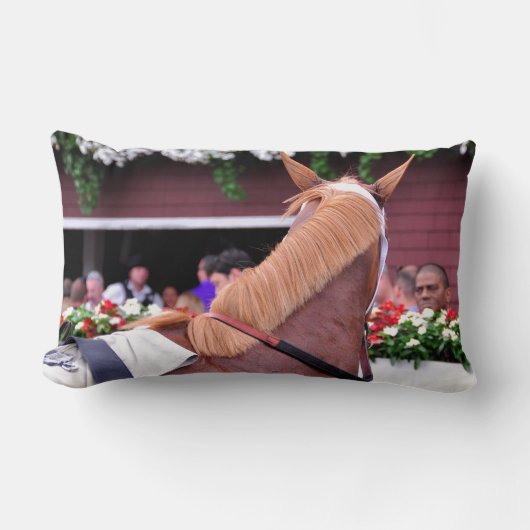 Flaxen "完全に含まれたの" ランバークッション (正面)