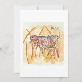 Flea Greeting Card 招待状