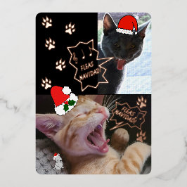 Fleas Navidadが猫のクリスマスグリーティングカードを歌う 箔招待状