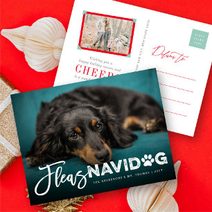Fleas Navidog Paw Print Dog Lover Photo おもしろい Pet シーズンポストカード