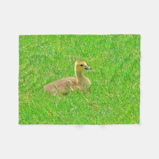Fleece Blanket    Canada Goose フリースブランケット (正面(横))