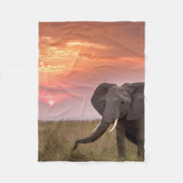 Fleece Deken フリースブランケット