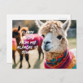 Fleece Navidad! Aplaca ポストカード (正面/裏面)