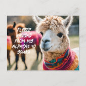 Fleece Navidad! Aplaca ポストカード (正面)