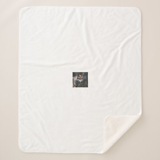 Fleece & Sherpa Blanket  シェルパブランケット (正面)