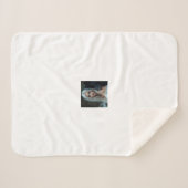 Fleece & Sherpa Blanket  シェルパブランケット (正面(横))