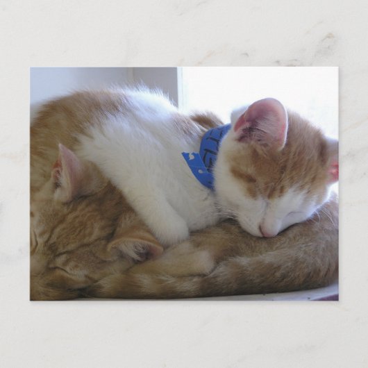 Flemming及びFinley 案内ポストカード (正面)