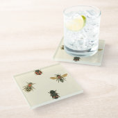 Fles and Beetles by Vision Studio ガラスコースター (アングル)