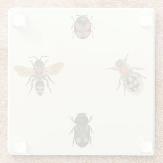 Fles and Beetles by Vision Studio ガラスコースター (裏面)
