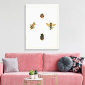 Fles and Beetles by Vision Studio キャンバスプリント (インサイチュ (リビング))