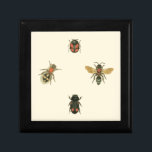 Fles and Beetles by Vision Studio ギフトボックス<br><div class="desc">このビジョンスタジオプリントは虫の好きな方のためかもしれない！ハエやカブトムシは黒い縁取りでクリーム色の背景に集ま縁どる。あなたもしは昆虫学に興味を持っているか、誰か知っている、これはピース素晴らしだ！</div>