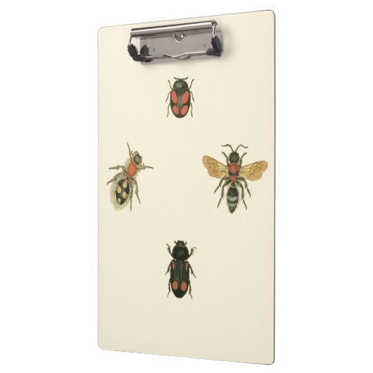 Fles and Beetles by Vision Studio クリップボード (左)