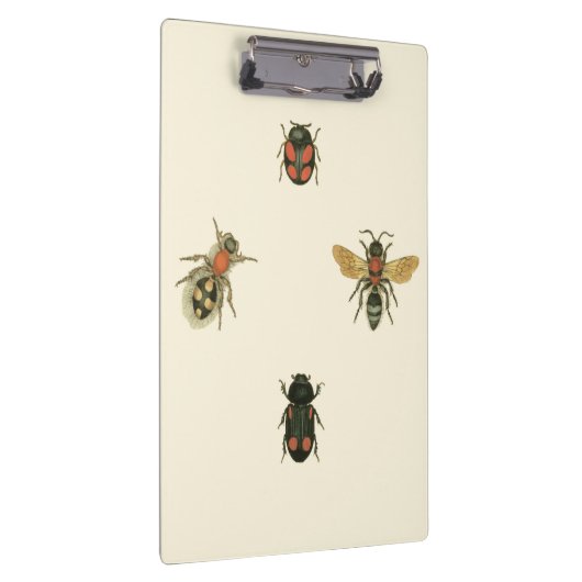 Fles and Beetles by Vision Studio クリップボード (右)