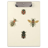 Fles and Beetles by Vision Studio クリップボード (正面)