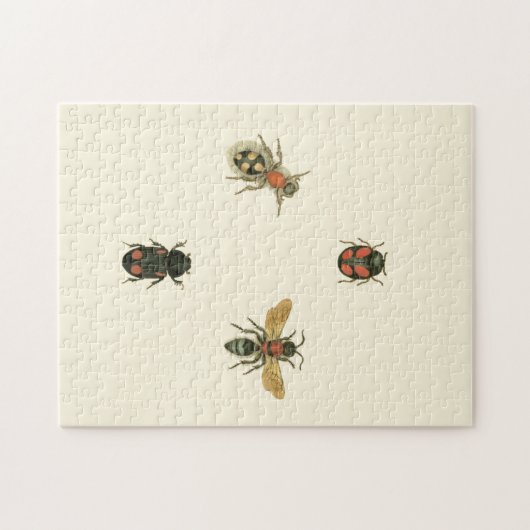 Fles and Beetles by Vision Studio ジグソーパズル (横)