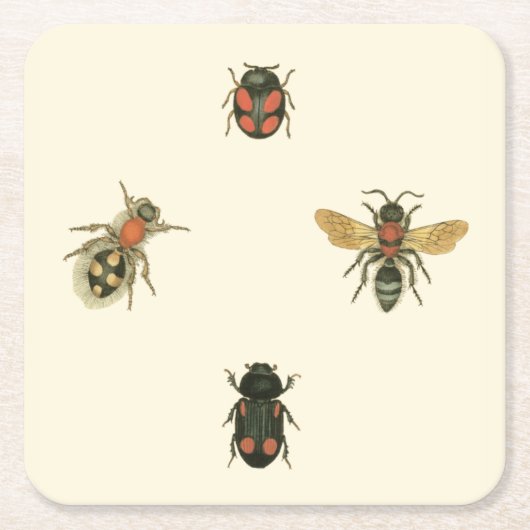 Fles and Beetles by Vision Studio スクエアペーパーコースター (正面)