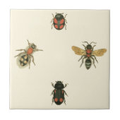 Fles and Beetles by Vision Studio タイル (正面)