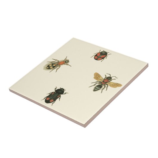 Fles and Beetles by Vision Studio タイル (側面)