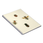 Fles and Beetles by Vision Studio ノートブック (右側)