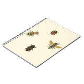 Fles and Beetles by Vision Studio ノートブック (左側)
