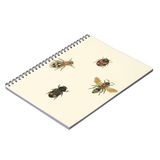 Fles and Beetles by Vision Studio ノートブック (左側)