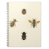 Fles and Beetles by Vision Studio ノートブック (正面)