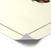 Fles and Beetles by Vision Studio ポスター (角)