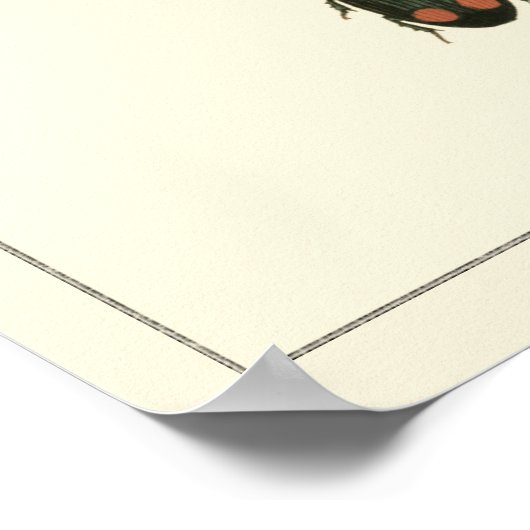 Fles and Beetles by Vision Studio ポスター (角)