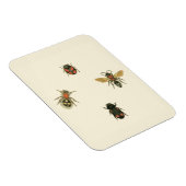 Fles and Beetles by Vision Studio マグネット (右側)