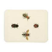 Fles and Beetles by Vision Studio マグネット (横)