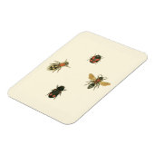 Fles and Beetles by Vision Studio マグネット (左側)