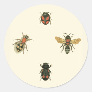 Fles and Beetles by Vision Studio ラウンドシール
