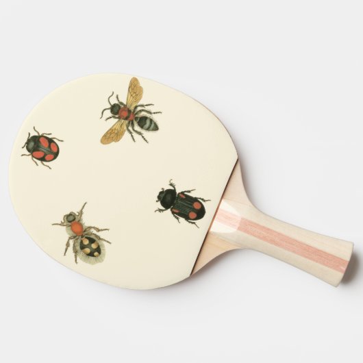 Fles and Beetles by Vision Studio 卓球ラケット (横)