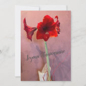 Fleur Amaryllis (正面)