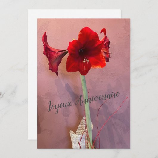 Fleur Amaryllis (正面/裏面)