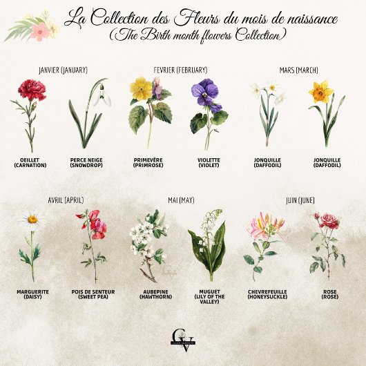 Fleur de février aquarelle botanique perce-neige ポスター