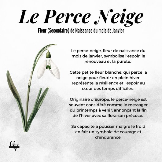 Fleur de février aquarelle botanique perce-neige ポスター