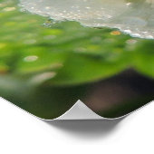 Fleur de fraisier ポスター (角)