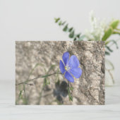 Fleur sauvage (スタンド正面)