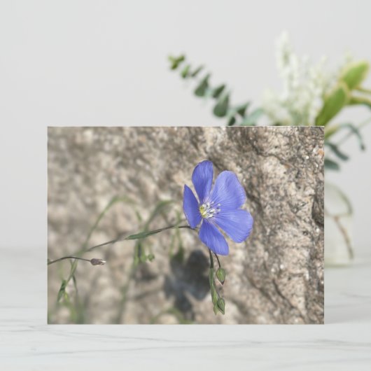 Fleur sauvage (スタンド正面)