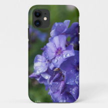 fleur violet avec la rosée du matin