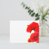 Fleurs de coquelicots sur fond blanc au printemps シーズンポストカード (スタンド正面)