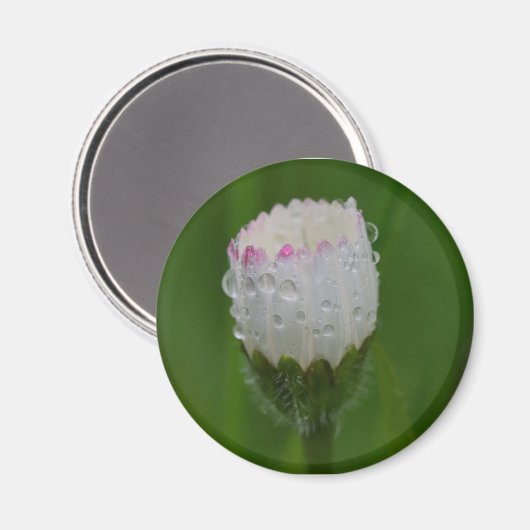 Fleurs et gouttes d'eau マグネット (正面/裏面)