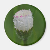 Fleurs et gouttes d'eau マグネット (正面)