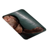 Flexi Magnet Labrador Lorenzo マグネット (右側)