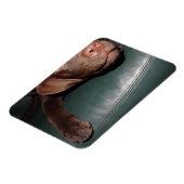 Flexi Magnet Labrador Lorenzo マグネット (左側)