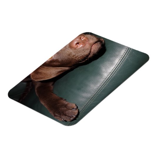 Flexi Magnet Labrador Lorenzo マグネット (左側)