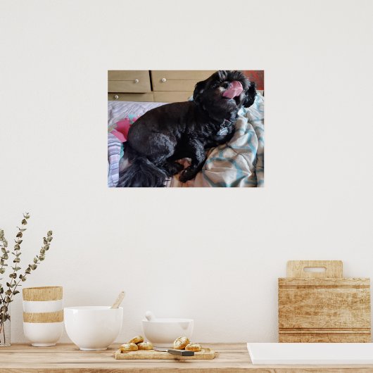 Flicker of the Tongue ポスター (キッチン)