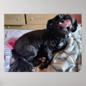 Flicker of the Tongue ポスター (正面)